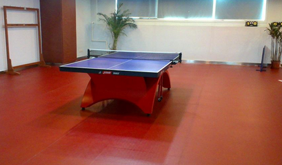 乒乓球運(yùn)動地板的特性及其在健身休閑活動中的重要性