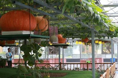 感受知青激情歲月，助力鄉(xiāng)村振興——省第九屆全民健身運(yùn)動會氣排球活動走進(jìn)蘭陵