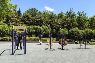 “樂(lè)享園林”成果巡展 | 城市綠道篇 編織綠色動(dòng)脈，樂(lè)享活力生活